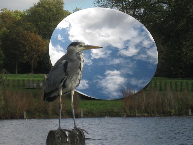 Sky Mirror